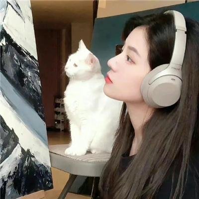 奔跑吧风扇